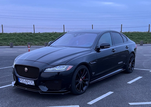 Jaguar XF cena 79900 przebieg: 115000, rok produkcji 2016 z Siemiatycze małe 301